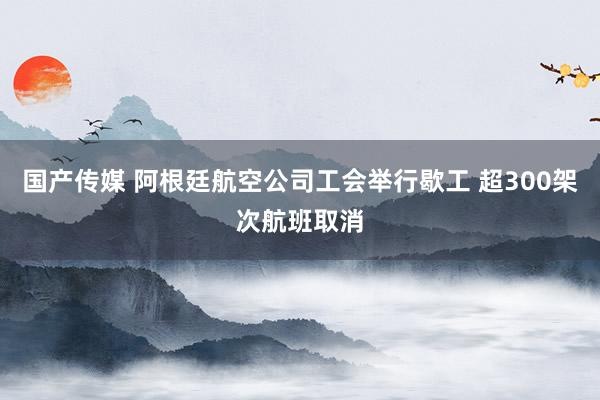 国产传媒 阿根廷航空公司工会举行歇工 超300架次航班取消