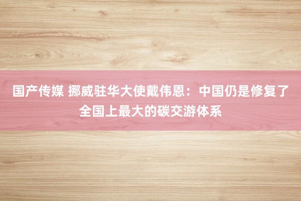 国产传媒 挪威驻华大使戴伟恩：中国仍是修复了全国上最大的碳交游体系