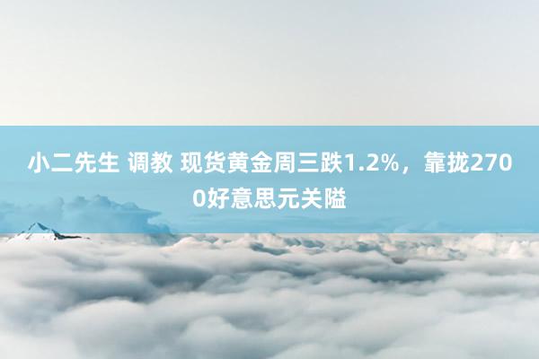 小二先生 调教 现货黄金周三跌1.2%，靠拢2700好意思元关隘