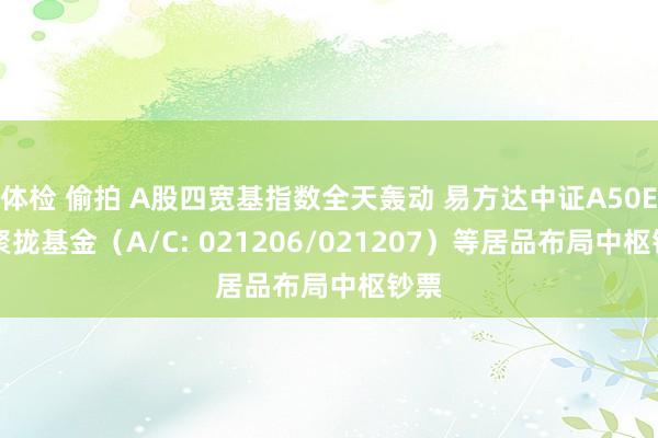 体检 偷拍 A股四宽基指数全天轰动 易方达中证A50ETF聚拢基金（A/C: 021206/021207）等居品布局中枢钞票