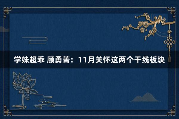 学妹超乖 顾勇菁：11月关怀这两个干线板块