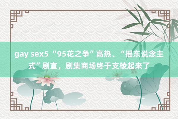 gay sex5 “95花之争”高热、“摇东说念主式”剧宣，剧集商场终于支棱起来了