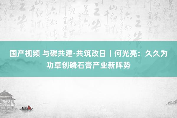 国产视频 与磷共建·共筑改日丨何光亮：久久为功草创磷石膏产业新阵势