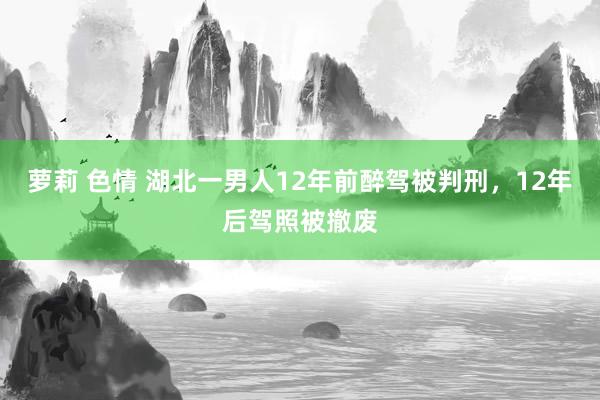 萝莉 色情 湖北一男人12年前醉驾被判刑，12年后驾照被撤废