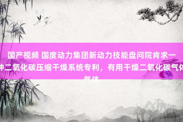 国产视频 国度动力集团新动力技能盘问院肯求一种二氧化碳压缩干燥系统专利，有用干燥二氧化碳气体